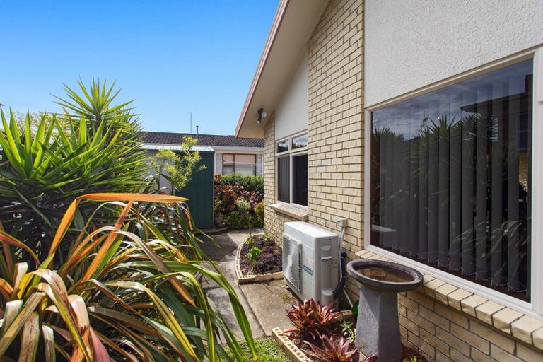 Photo of property in 34 James Street, Whakatane, 3120