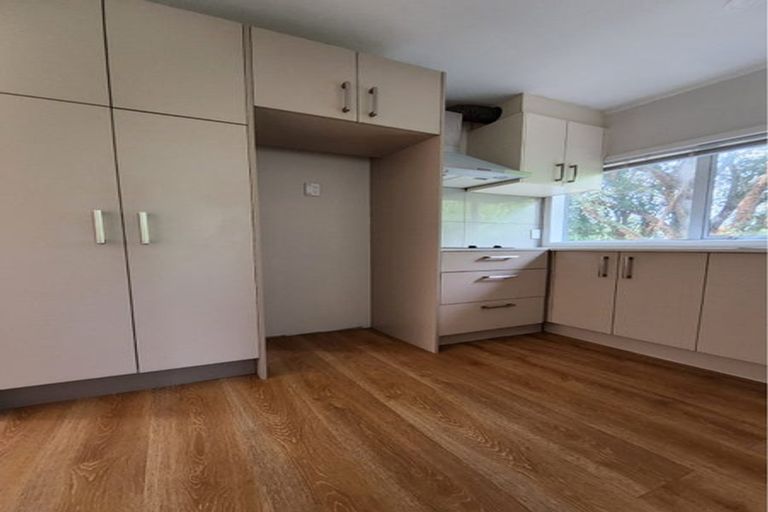 Photo of property in 109 Gardner Avenue, New Lynn, Auckland, 0600