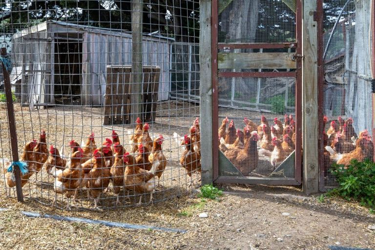 Photo of property in 1905 Christchurch Akaroa Road, Gebbies Valley, Christchurch, 7672
