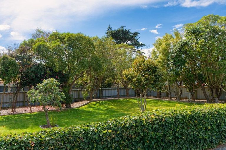 Photo of property in 237 Beach Road, Kaikoura, 7300