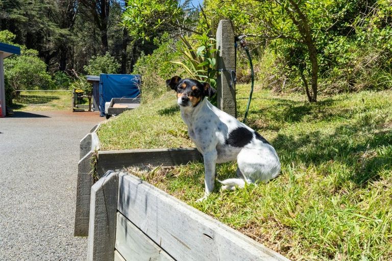 Photo of property in 184-190 Kahukura Avenue, Waitarere Beach, Levin, 5510