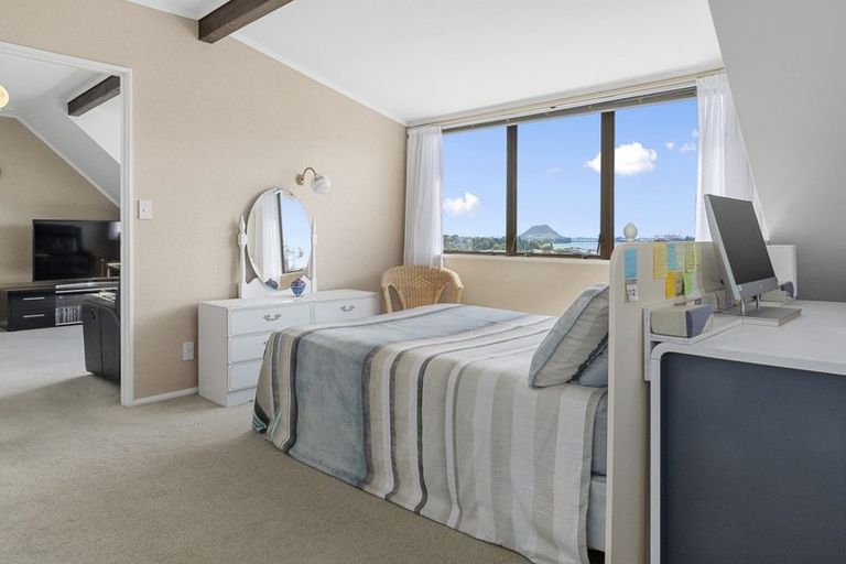 Photo of property in 19 Clarke Street, Gate Pa, Tauranga, 3112