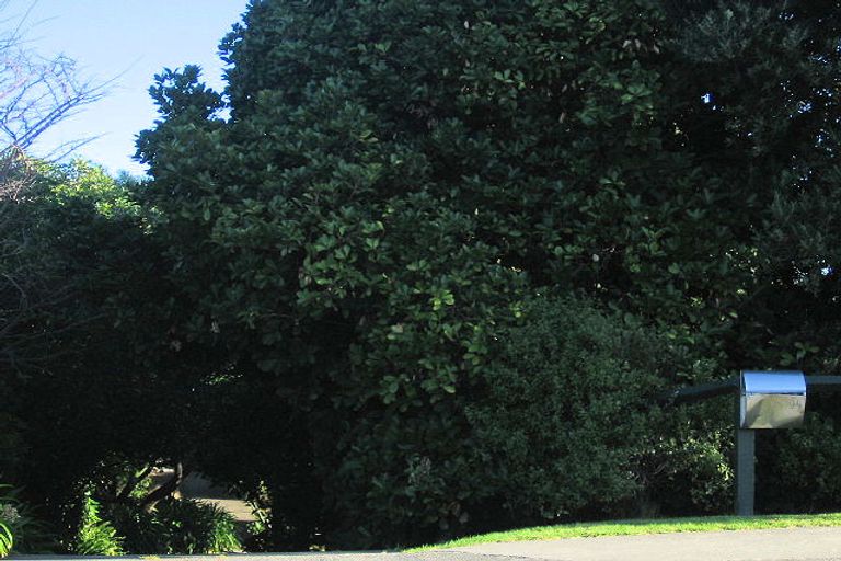 Photo of property in 34 Martin Road, Paraparaumu Beach, Paraparaumu, 5032