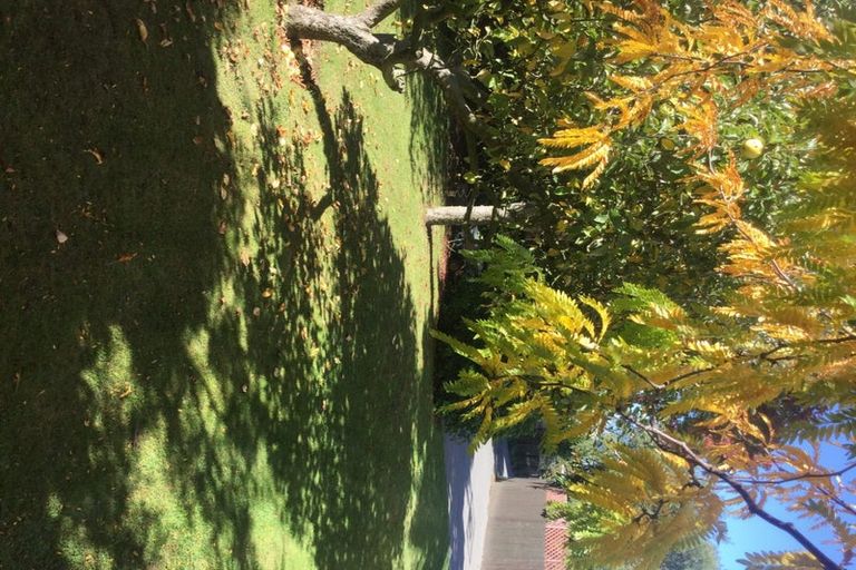 Photo of property in 3 Kingham Place, Avonhead, Christchurch, 8042