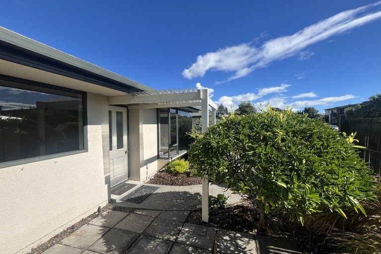 Photo of property in 252 Bridge Street, The Wood, Nelson, 7010