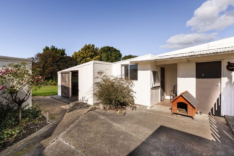 Photo of property in 19 Waipureku Street, Clive, 4102