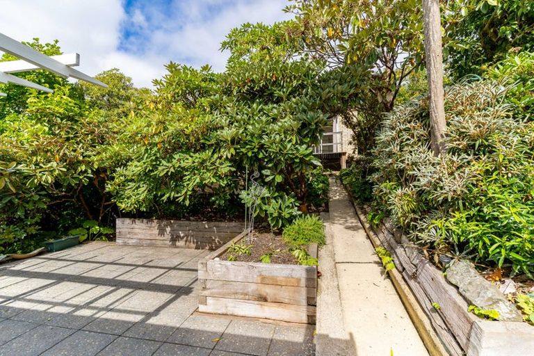 Photo of property in 37 Lynwood Avenue, Maori Hill, Dunedin, 9010