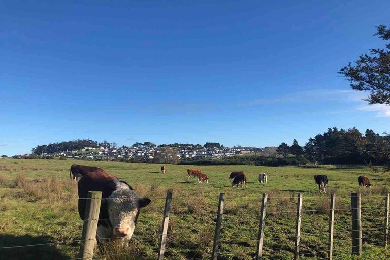 Photo of property in 81 Totara Views Drive, Silverdale, 0932