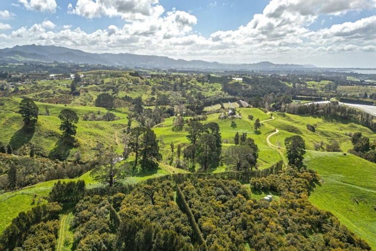 Photo of property in 231 Walford Road, Aongatete, Katikati, 3181
