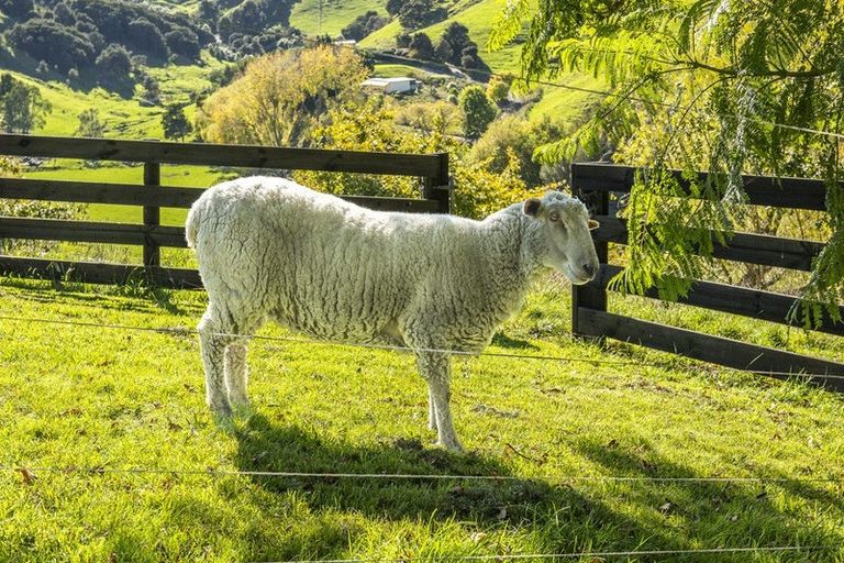 Photo of property in 863 Puketitiri Road, Puketapu, Napier, 4182