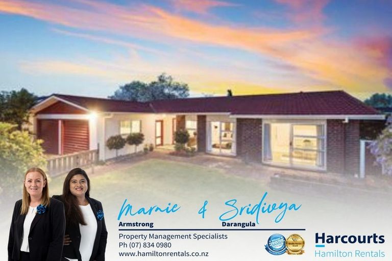 Photo of property in 17 Egmont Street, Chartwell, Hamilton, 3210