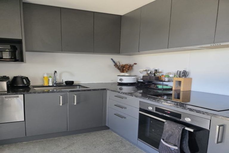 Photo of property in 48 Astelia Way, Woodridge, Wellington, 6037