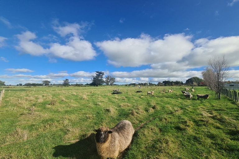 Photo of property in 9 Hendersons Line, Marton, 4710