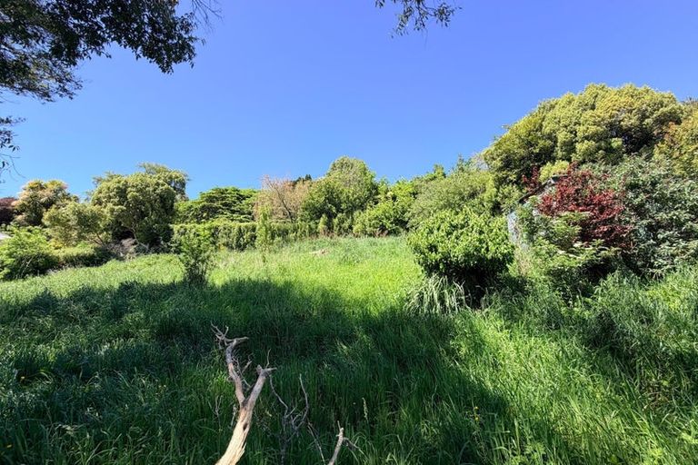 Photo of property in 36a Falcon Street, Kaikorai, Dunedin, 9010