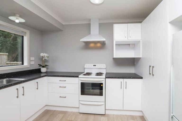 Photo of property in 24u2 Hogan Street, Hamilton East, Hamilton, 3216