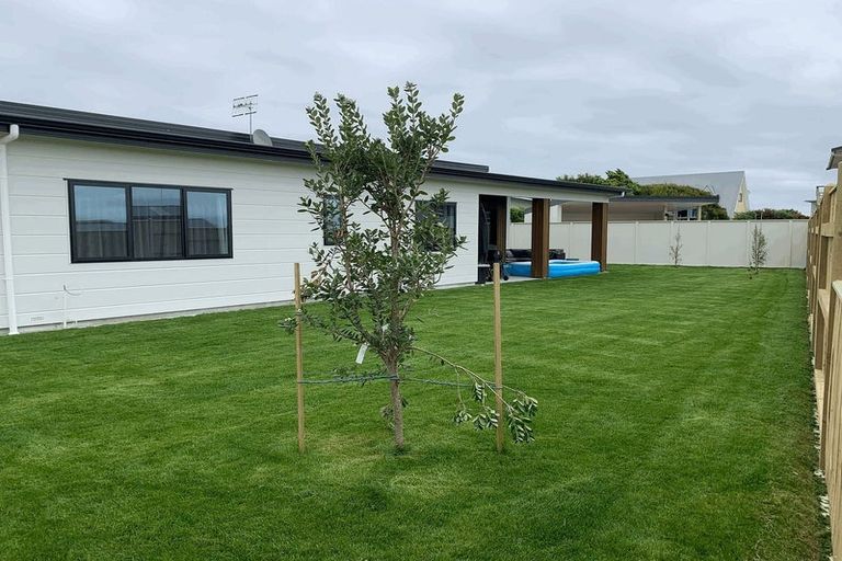 Photo of property in 3 Snappers Lane, Foxton Beach, Foxton, 4815