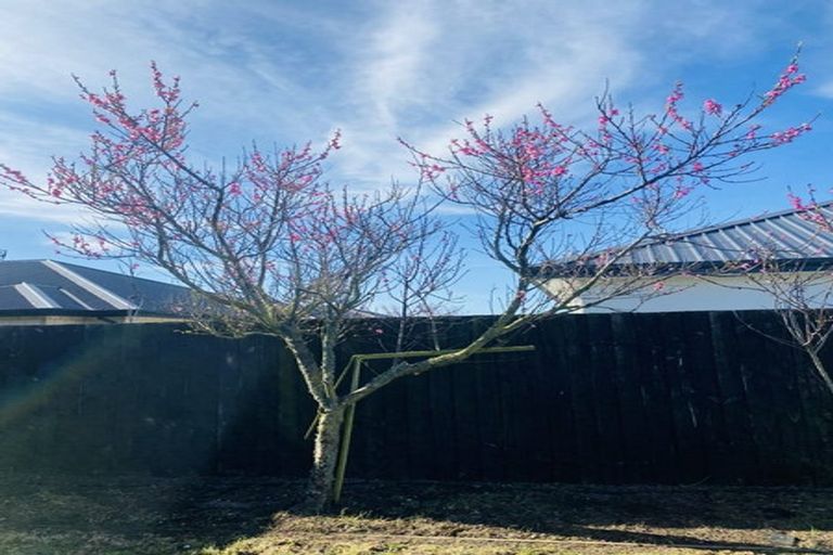 Photo of property in 23 Wardell Street, Wigram, Christchurch, 8042