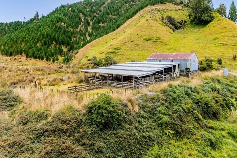 Photo of property in 568 Matau Road North, Matau, Stratford, 4395