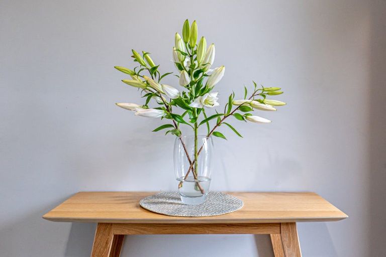 Photo of property in 28 Staveley Street, Avonhead, Christchurch, 8042