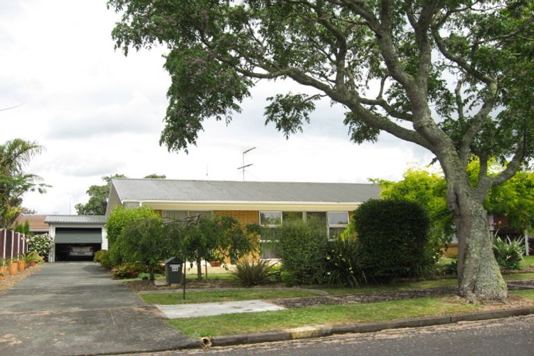 Photo of property in 46 Paterson Avenue West, Pukekohe, 2120