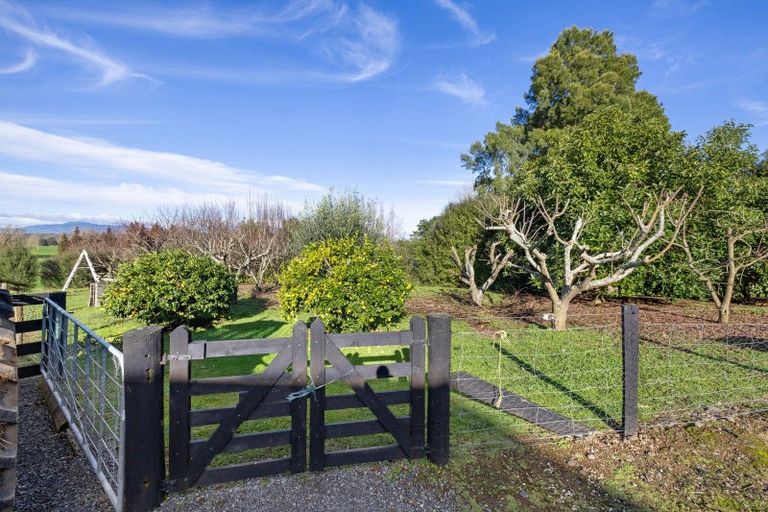 Photo of property in 4953 Ohaupo Road, Te Awamutu, 3879