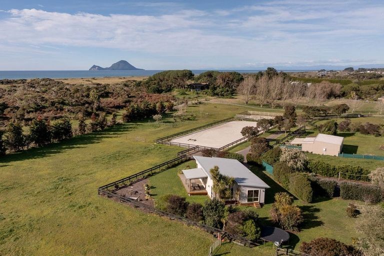 Photo of property in 930b Thornton Road, Thornton, Whakatane, 3194