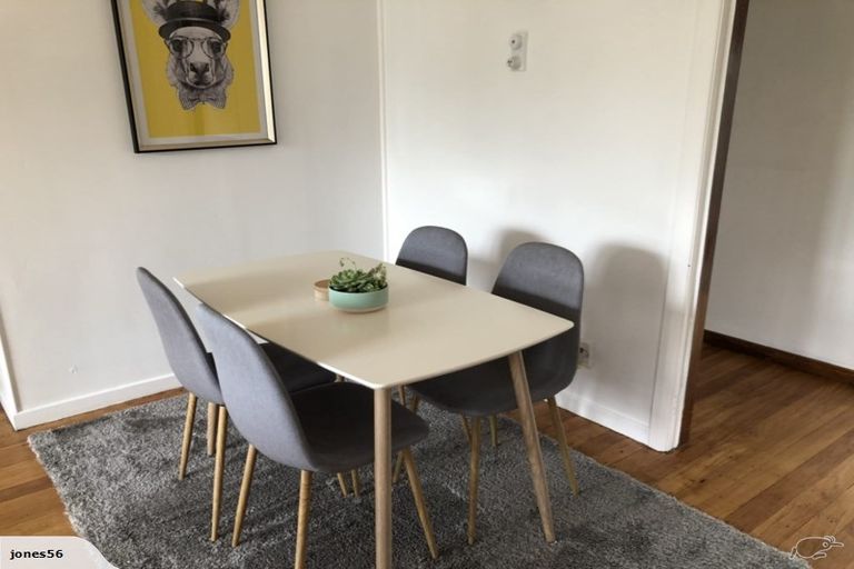 Photo of property in 19 Richmond Street, Whitiora, Hamilton, 3200