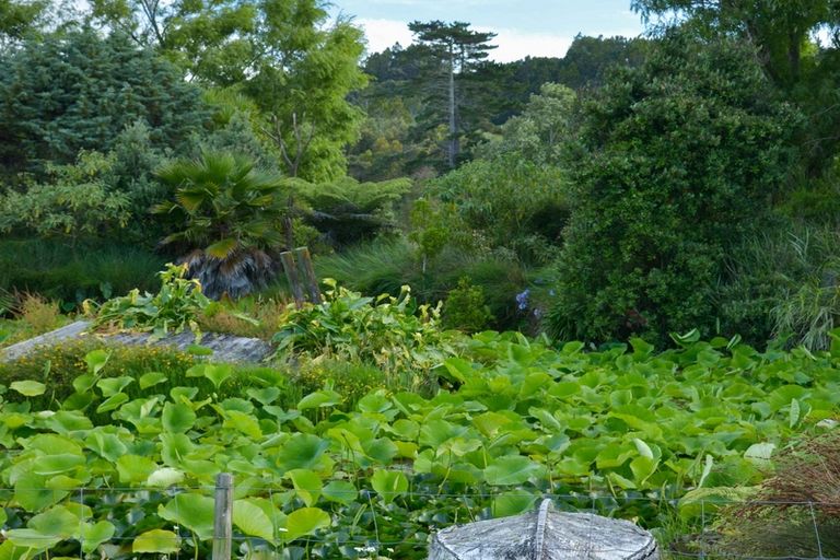 Photo of property in 202 Muriwai Valley Road, Muriwai, Waimauku, 0881