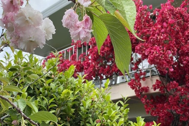 Photo of property in 1 Sunrise Lane, Te Atatu South, Auckland, 0610