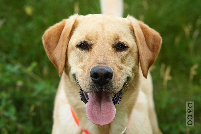 Photo of property in 1134 Old North Road, Helensville, Waimauku, 0882