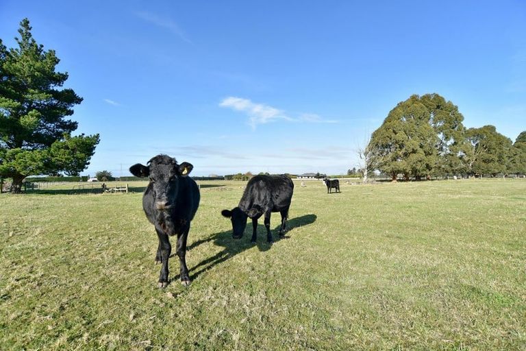 Photo of property in 77 Bridge Road, Fernside, Rangiora, 7475