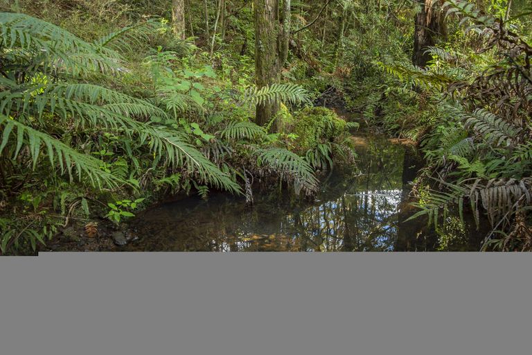 Photo of property in 27 Opouteke Road, Pakotai, Whangarei, 0172