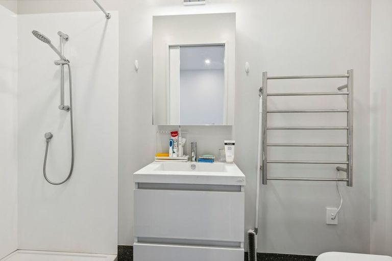 Photo of property in Aniva Terrace, 12 Arney Street, Newtown, Wellington, 6021