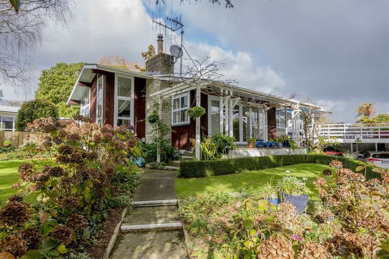 Photo of property in 16 Stuart Street, Levin, 5510