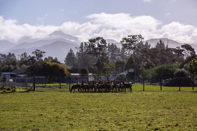 Photo of property in 707 Norfolk Road, Upper Plain, Carterton, 5791