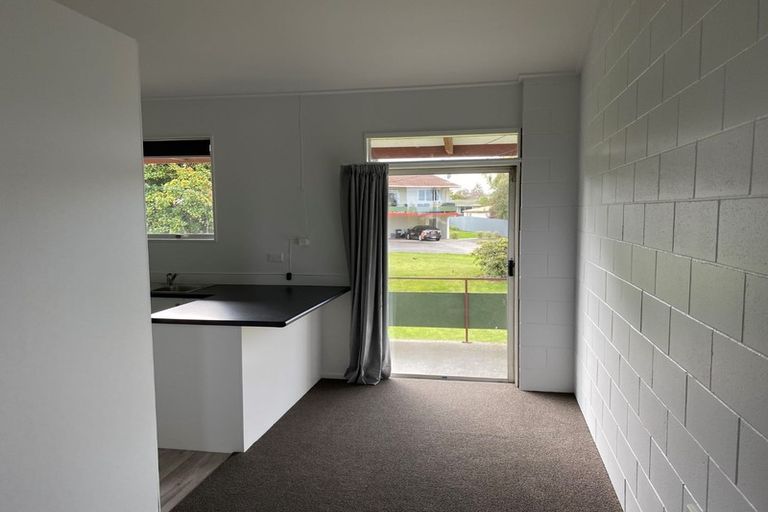Photo of property in 8/42 Scannell Street, Taupo, 3330