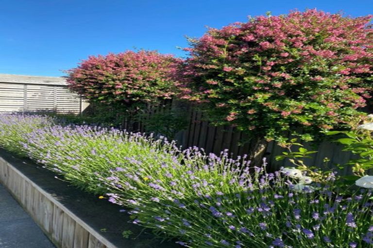 Photo of property in 14 Huntingdon Drive, Rangiora, 7400