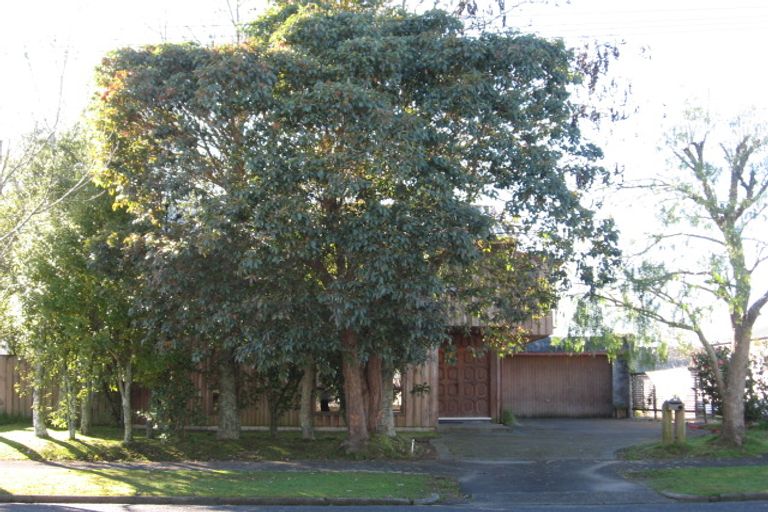 Photo of property in 96 Nixon Street, Hamilton East, Hamilton, 3216