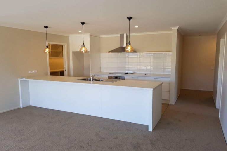 Photo of property in 56 Malone Crescent, Richmond, 7020