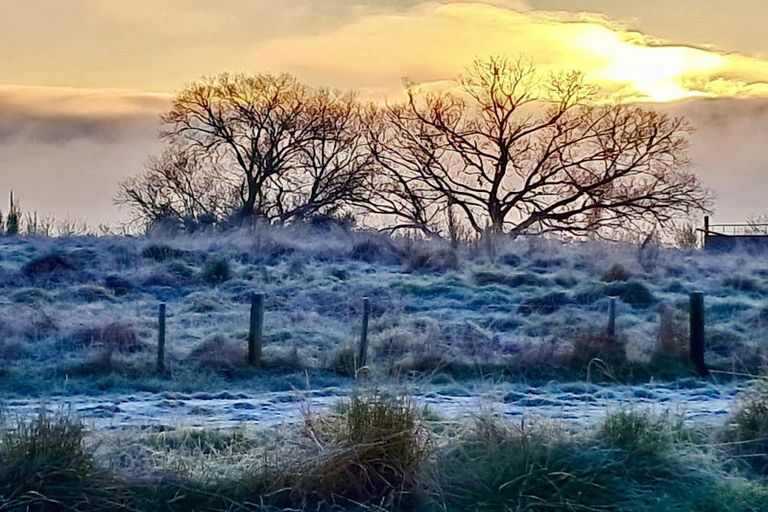 Photo of property in 41 Camellia Drive, Ngongotaha, Rotorua, 3010