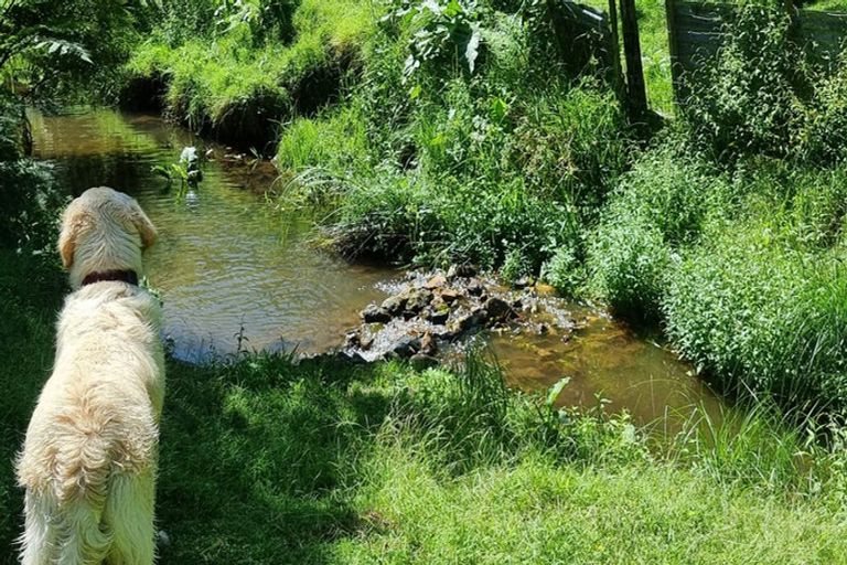 Photo of property in 11a Tui Street, Te Puke, 3119