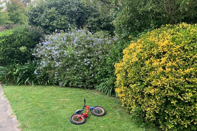 Photo of property in 14 Dolbel Street, Taradale, Napier, 4112