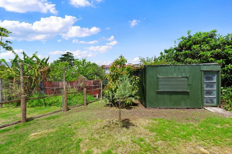 Photo of property in 38 Kohekohe Street, New Lynn, Auckland, 0600
