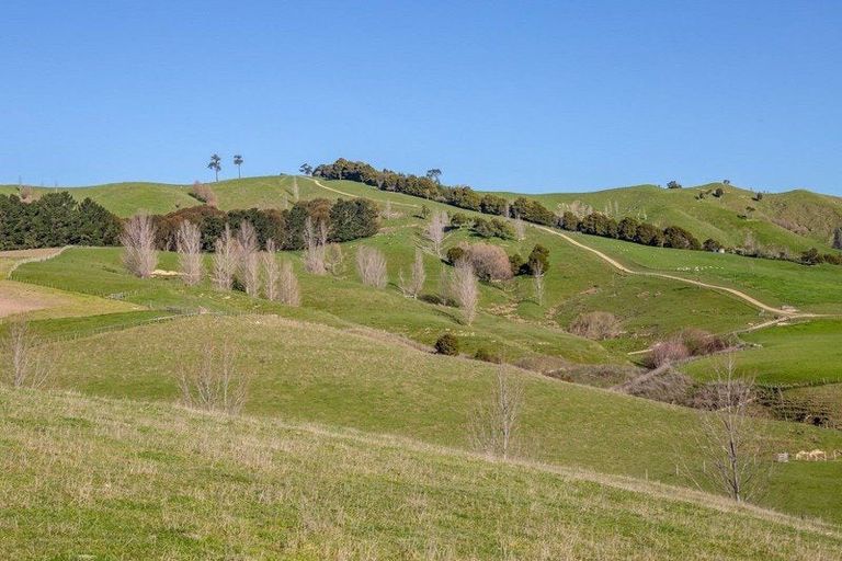 Photo of property in 17 Hill Street, Te Kuiti, 3910