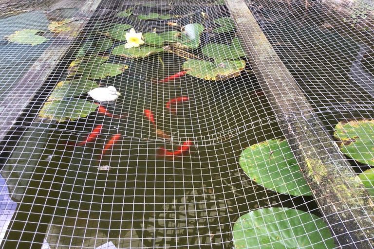 Photo of property in 104 Hays Place, Thames, 3500