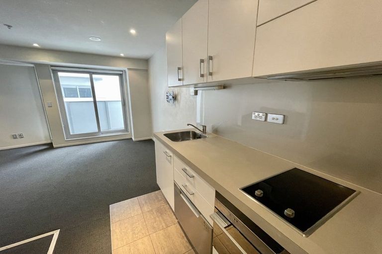 Photo of property in Soho Apartments, 521/74 Taranaki Street, Te Aro, Wellington, 6011