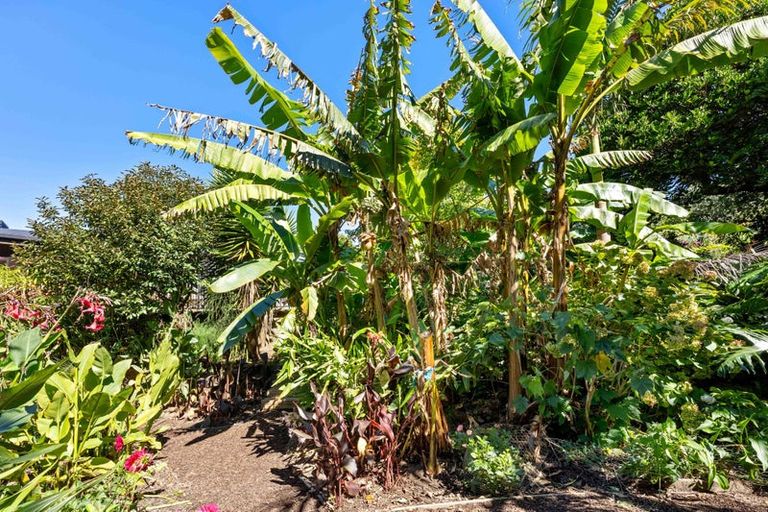 Photo of property in 118 Ngarara Road, Waikanae, 5036