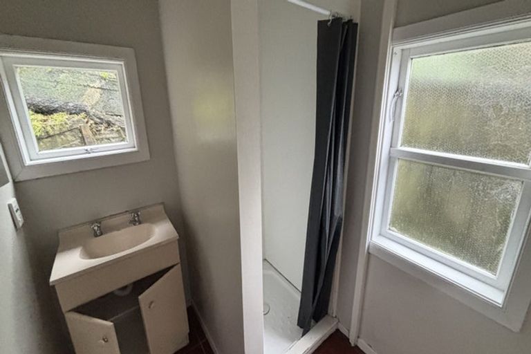 Photo of property in 52 Norway Street, Aro Valley, Wellington, 6012