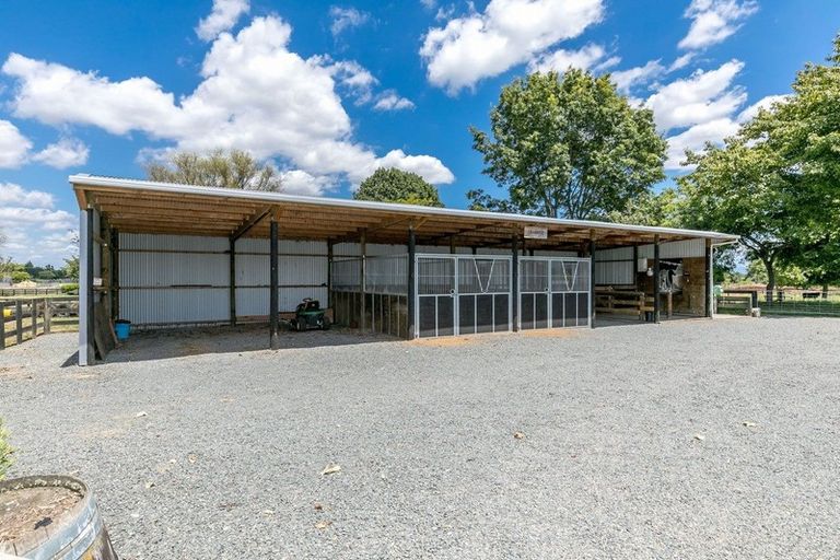 Photo of property in 141 Racecourse Road, Cambridge, 3493