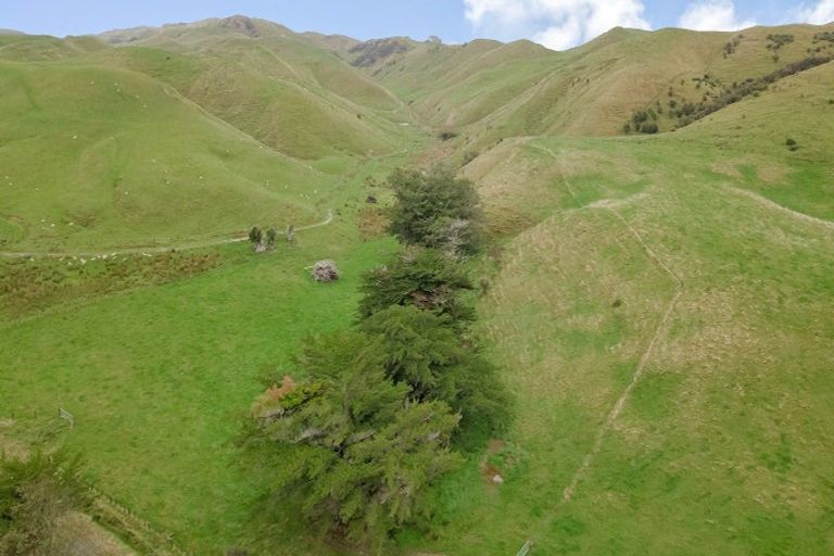 Photo of property in 420 Mangaoranga Road, Eketahuna, 4993